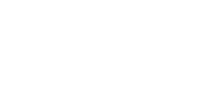 CIC logo